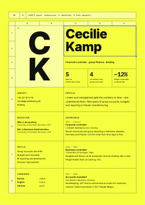 Financial controller CV — spreadsheet