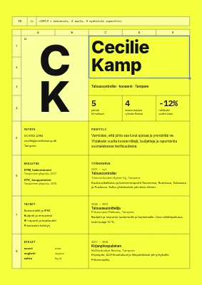 Controllerin CV — taulukko