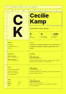 CV for controller — regneark
