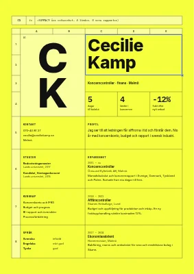 Ekonomicontroller-CV — kalkylblad