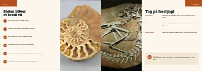 Side 8–9 af Familieguide til naturhistorisk museum – 24 sider