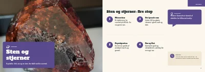 Side 14–15 af Familieguide til naturhistorisk museum – 24 sider