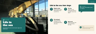 Pages 4–5 of Family guide to a natural history museum – 24 pages