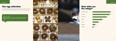 Pages 12–13 of Family guide to a natural history museum – 24 pages