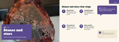 Pages 14–15 of Family guide to a natural history museum – 24 pages
