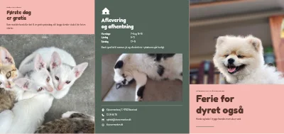 Dyrepension for hunde og katte