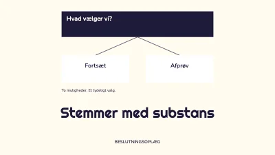 Stemmer med substans