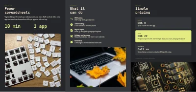 Seite 2 von Software product: launch and pricing