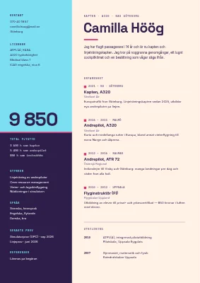 Pilot-CV — artificiell horisont
