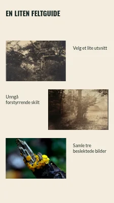 Side 2 av Gatens små detaljer · Fotobillett