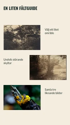 Sida 2 av Gatans små detaljer · Fotobiljett