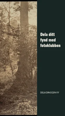Sida 3 av Gatans små detaljer · Fotobiljett