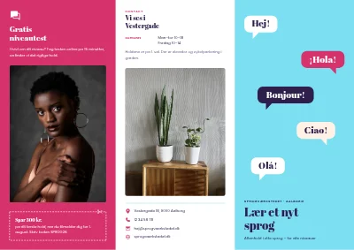 Sprogskole: hold og niveauer