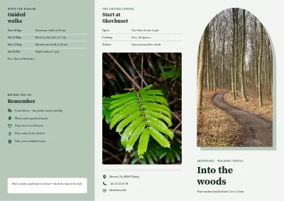 Forest walking trails