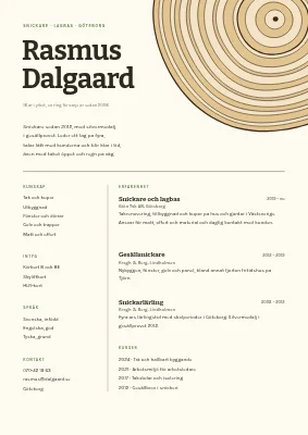 Snickare CV — årsringar