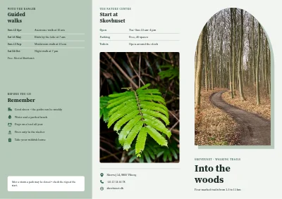 Forest walking trails