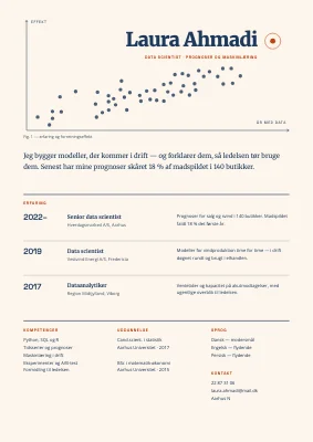 CV til data scientist — punktdiagram