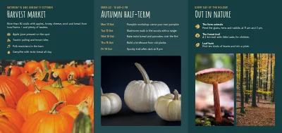 Seite 2 von Harvest market and autumn half-term