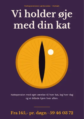 Kattepension med eget værelse i Holbæk