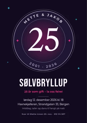 Sølvbryllup — neonsegl en vinternatt