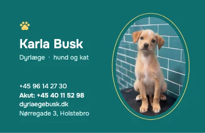 Hvalpeblik