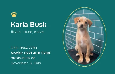 Seite 1 von Hundeblick