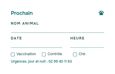 Page 2 de Yeux de chiot