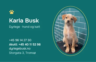 Valpeblikk