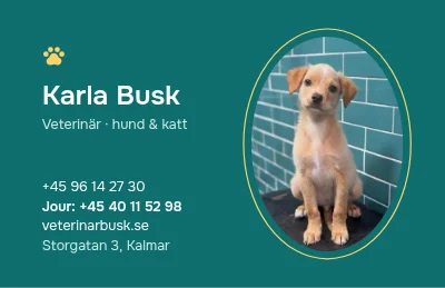 Sida 1 av Valpögon