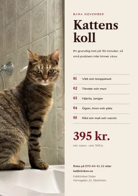 Veterinär — hälsokontroll för katter