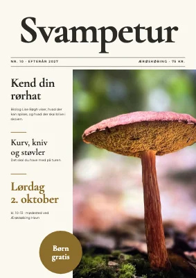 Svampetur i efteråret