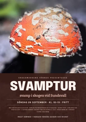 Svampvandring i Boserupskogen — filmaffisch