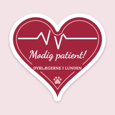 Modig patient-hjertet