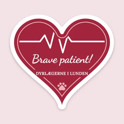 The brave patient heart
