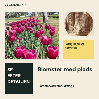 Blomster med plads · Modulær journal