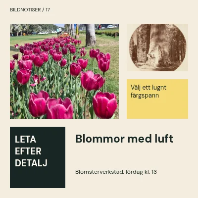 Blommor med utrymme · Modulär journal