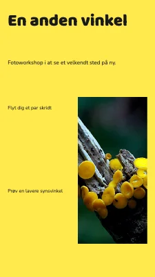 En anden vinkel · Grafisk feltguide