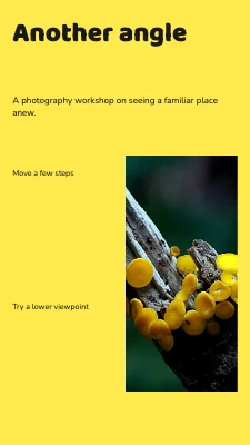 Another angle · graphic field guide