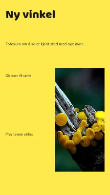 En annen vinkel · grafisk feltguide
