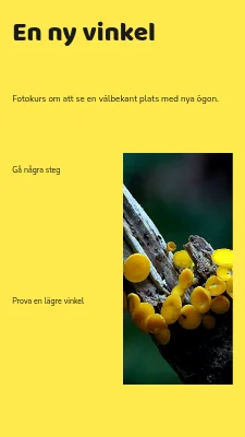 En annan vinkel · grafisk fältguide