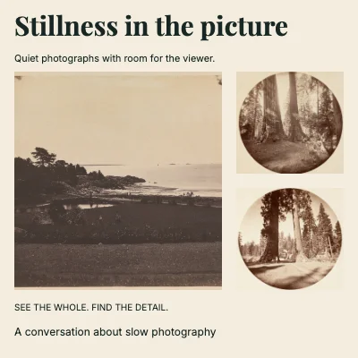 Stillness in the picture · Corner study