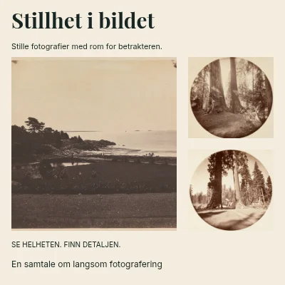 Stillhet i bildet · Hjørnestudie