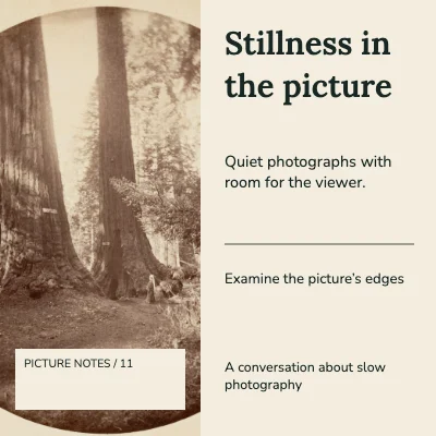Stillness in the picture · Two columns