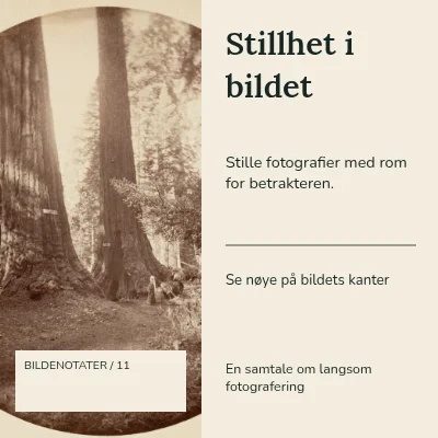 Stillhet i bildet · To kolonner