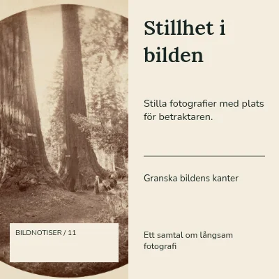 Stillhet i bilden · Två kolumner
