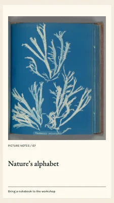 Nature’s alphabet · Archive frame