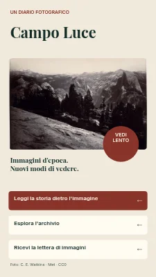 Light Field — Storie fotografiche