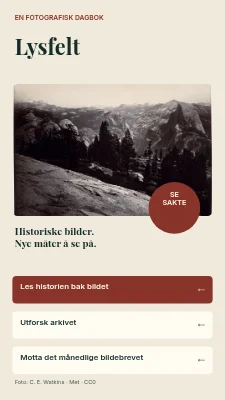 Light Field — Fotografiske historier