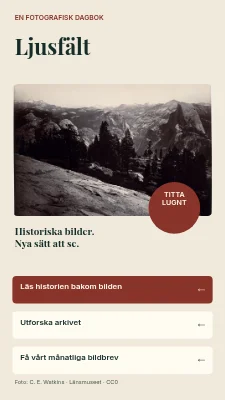 Light Field — Fotografiska berättelser