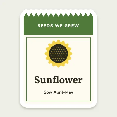 The seed packet